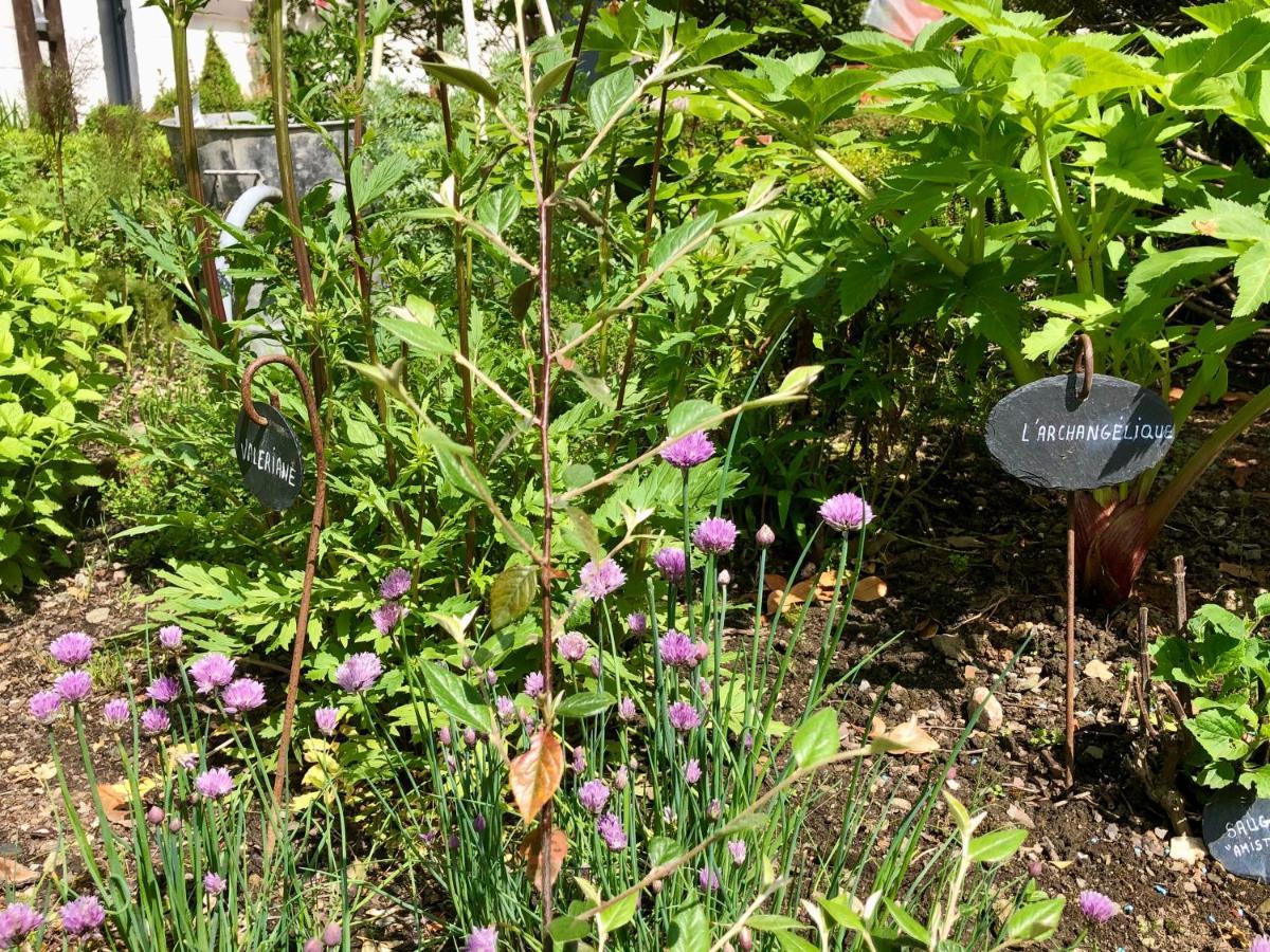 Le Grenier Du Jardin Panzió Pontorson Kültér fotó